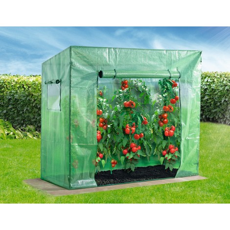 Powertec Garden Tomaten Gewachshaus 25302813