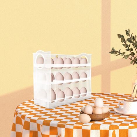 PP porte-oeufs boîte plateau cuisine rangement organisateur oeufs réfrigérateur conteneur