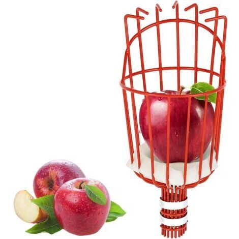 Pr Cueille Fruits métallique avec Griffe, Outil de cueillette de Fruits métal, Outils de Jardinage pour récolte de Pommes, Agrumes, Poires, Pêches