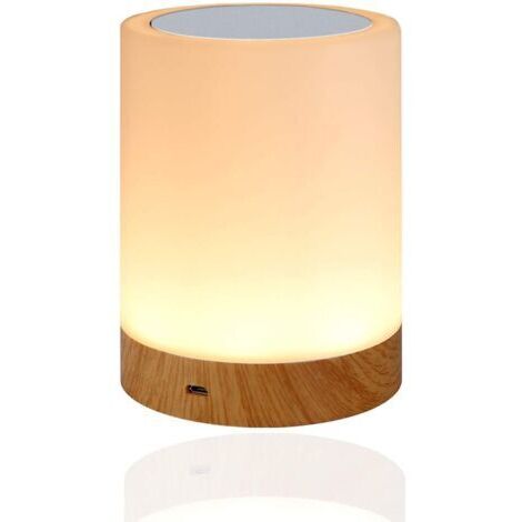 Pr Veilleuse LED, Lampe de Chevet Veilleuse Enfant avec Contrôle Tactile et USB Rechargeable et Changement de Couleurs RGB Dimmable Lampe de Table pour La Chambre et Le Salon [Classe énergétique G]