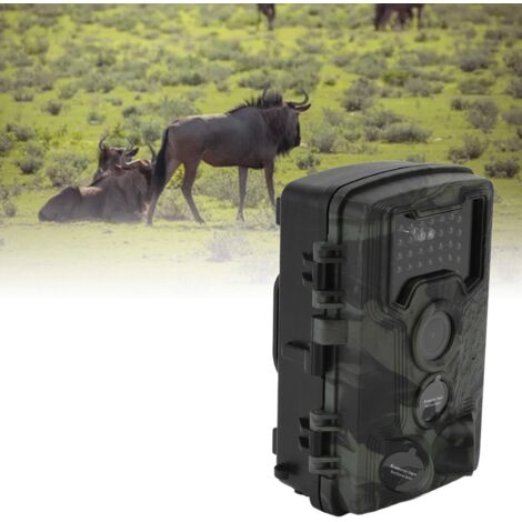 PR1000 Wildüberwachungskamera – 1080P mit großer Blendenöffnung, automatischer Belichtungserkennung und HD-Nachtsicht