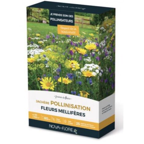 Prairies fleuries : Jachère je prend soin des pollinisateurs