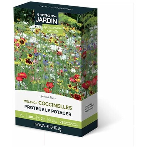 Prairies fleuries : j'attire les coccinelles 7 m2