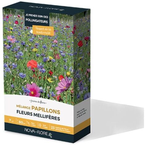 Prairies fleuries : j'invite les papillons 7 m2