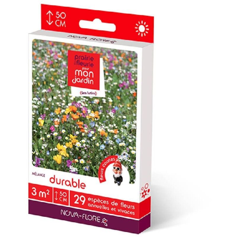 Novaflore - Prairies fleuries : prairie durable 3 m2