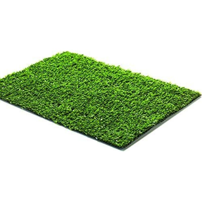Prato Sintetico 2x5 Metri - Altezza 7mm, Con 4 Picchetti, Per Giardino Interno Ed Esterno