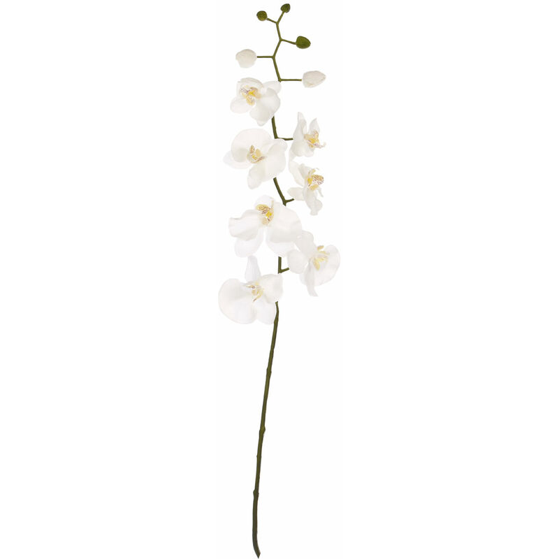 Image of Cream Orchid Stem - Premier Housewares
