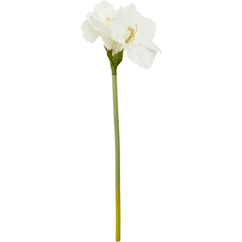 Premier Housewares - Fiori Amarylilis Stem Ivory Flower - 72cm