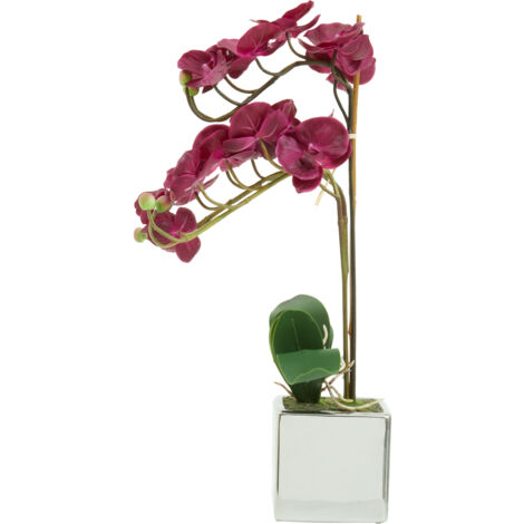 Premier Housewares Fiori Aubergine Orchid Plant
