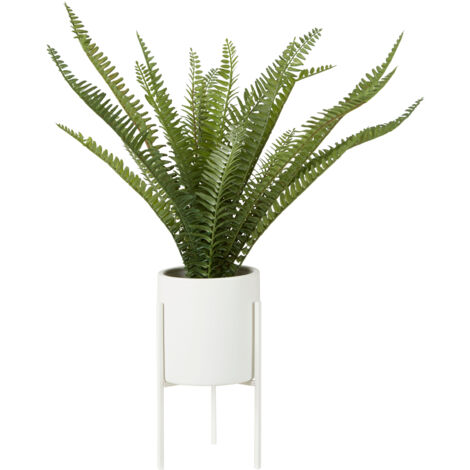 Premier Housewares Fiori Fern with White Cement and Iron Pot