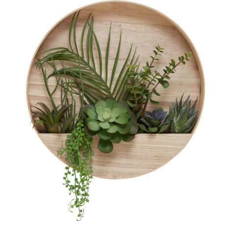 Premier Housewares Fiori Mixed Succulents in Wood Wall Planter