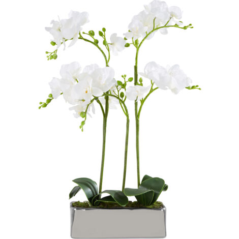 Premier Housewares Fiori White Orchid Plant in Rectangular Pot