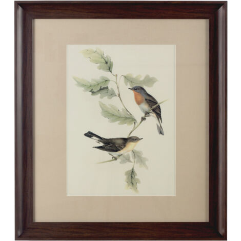 Premier Housewares Framed Birds 1 Wall Art