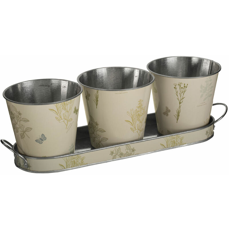 Premier Housewares Jardin Pots on Oblong Tray - Set of 3
