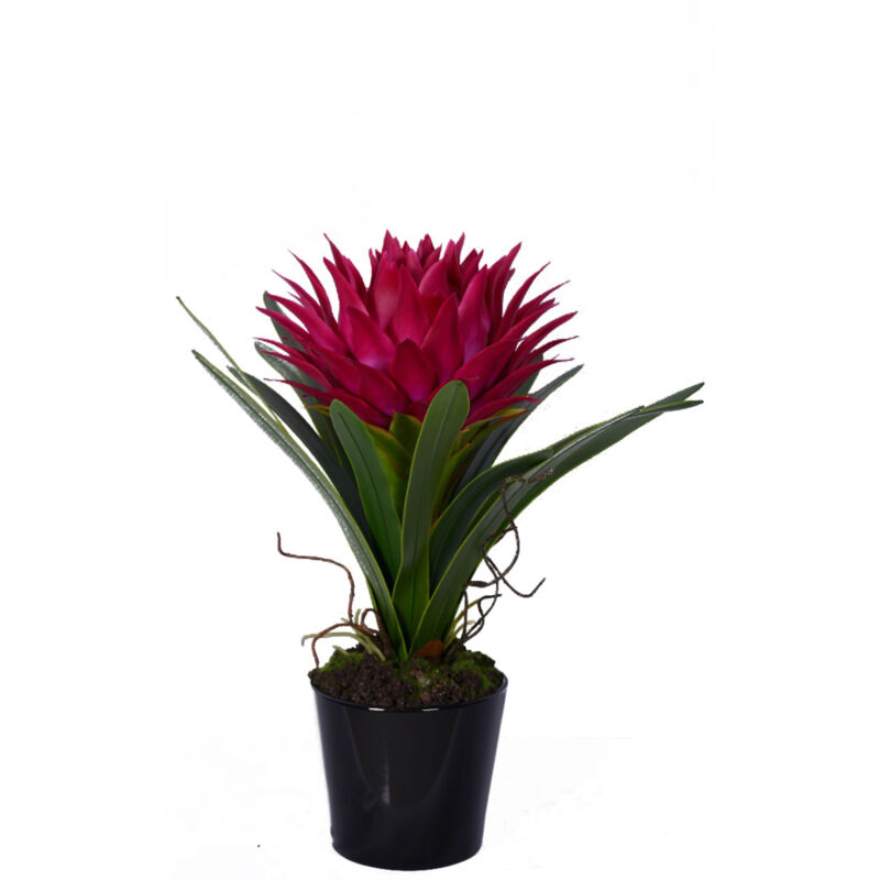 Premier Housewares - Pink Tropical Plant with Black Ceramic Pot