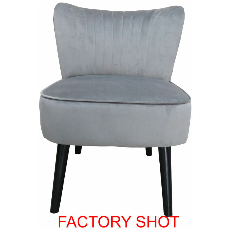 Regents Park Grey Velvet Chair - Premier Housewares