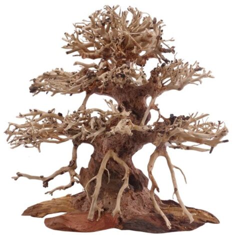 Premium Bonsai Baum M 20x12x20 cm Wurzel Holz Aquarium Deko Aquascaping