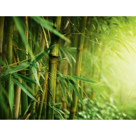 Premium Garden Wurzelsperre 3,5 x 0,6 m Gartenfolien