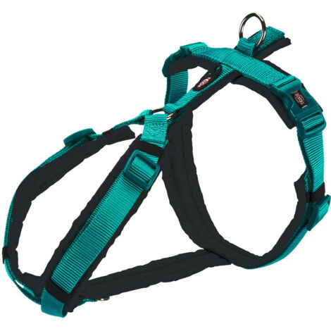 Premium pettorina trekking: S: 36-44cm/15mm acquamarina