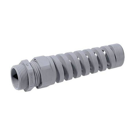 PRESSE-ÉTOUPE LAPP SKINTOP® BS-M 25 X 1.5 53111630 M25 POLYAMIDE GRIS-ARGENT (RAL 7001) 1 PC(S)