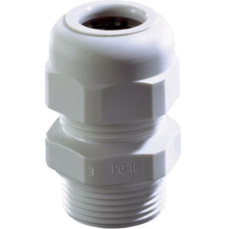Presse-étoupe Wiska SKV PG36 RAL 9005 10066198-1 PG36 Polyamide noir 1 pc(s) S25530