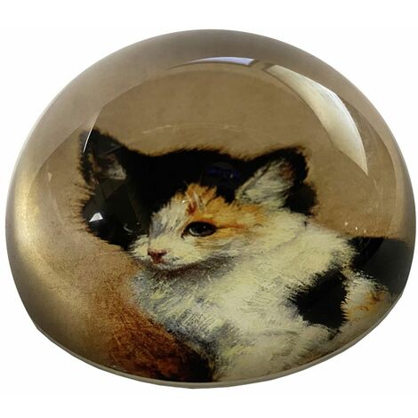 Presse papier Chaton éveillé par RONNER KNIP