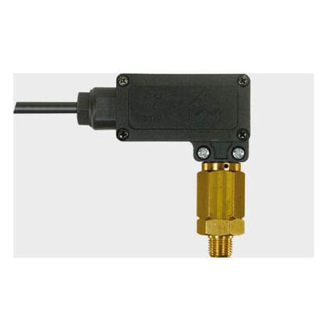 Pressostat nettoyeur haute pression 1/4 25 bar – Longueur câble 1200 mm – Seuil de pression 25 bar pour performance optimale – Hp Concept