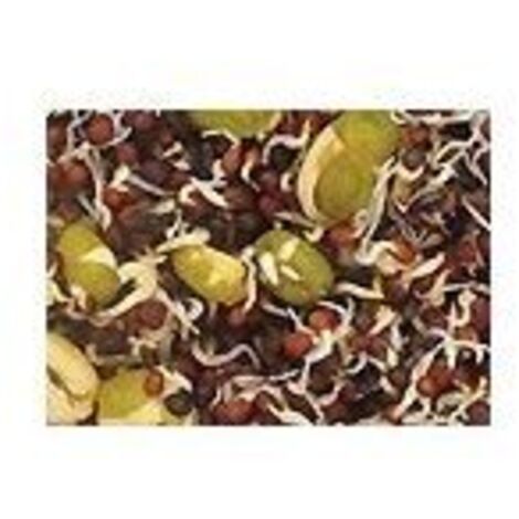 Prestige Germination Seeds Canaries 20 kg