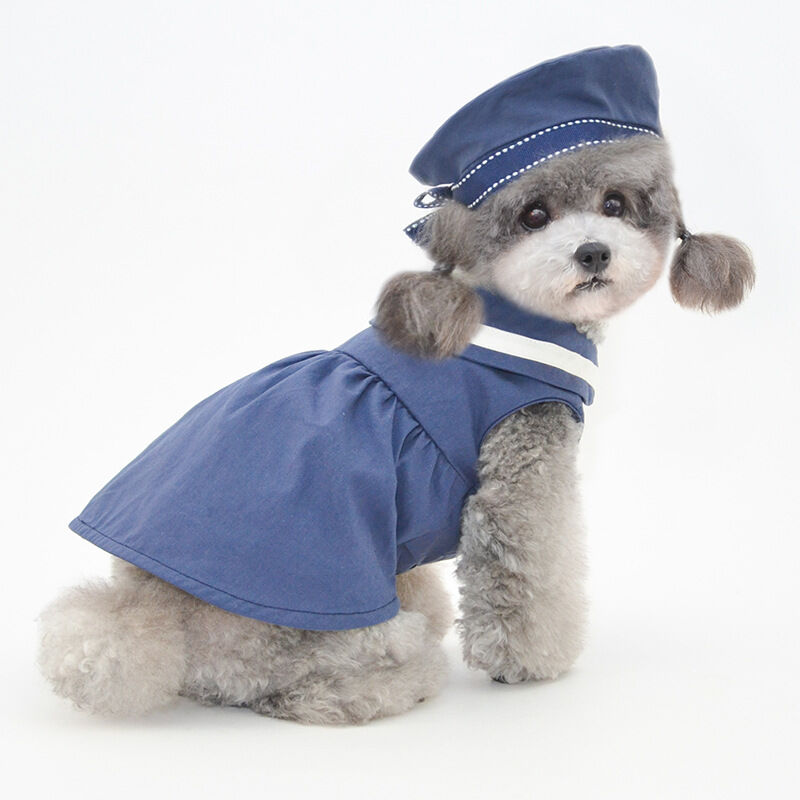 Primavera verano ropa japonesa y coreana para mascotas, ropa para cachorros, falda para mascotas, falda para perros, ropa para ropa de ⋆ petmascotas.es