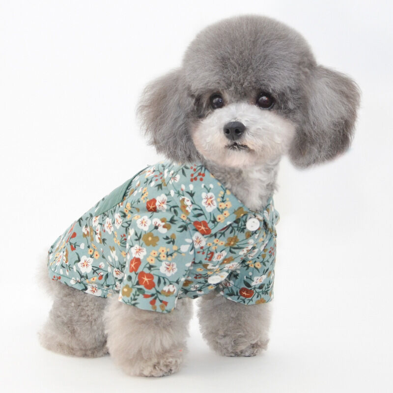 rehén molino Globo Primavera y verano nuevos pantalones de transporte para mascotas pantalones  de calabaza ropa para perros ropa para perros pequeños ropa para gatos ⋆  petmascotas.es