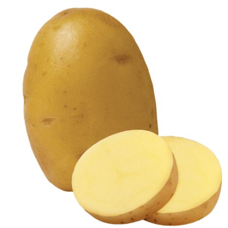 Vendita Spunta mini tuberi di patate da seme kg 2,5