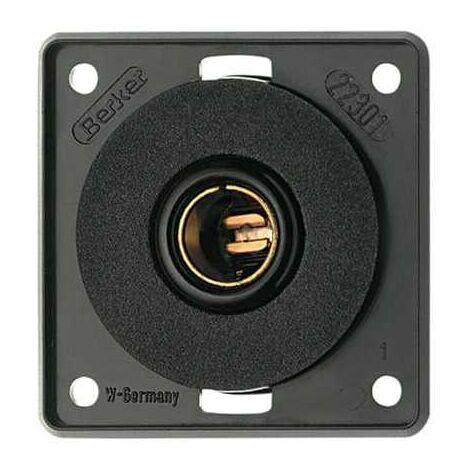 Prise 12V 16A pour voitures série "Integro" avec panneau anthracite