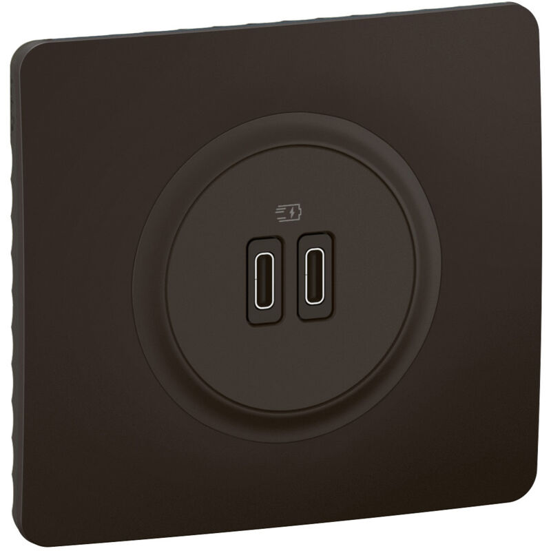Legrand - Prise 2 usb Céliane 20W Power Delivery Type-C+C - Enjoliveur Noir et support