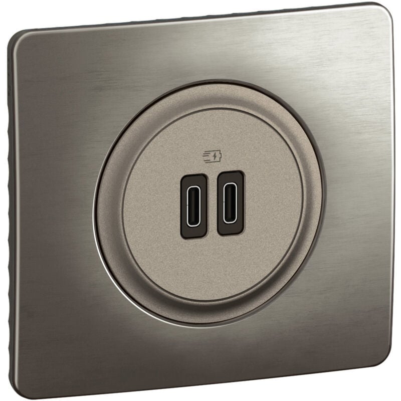 Prise 2 usb Céliane 20W Power Delivery Type-C+C - Enjoliveur Titanium et support - Legrand