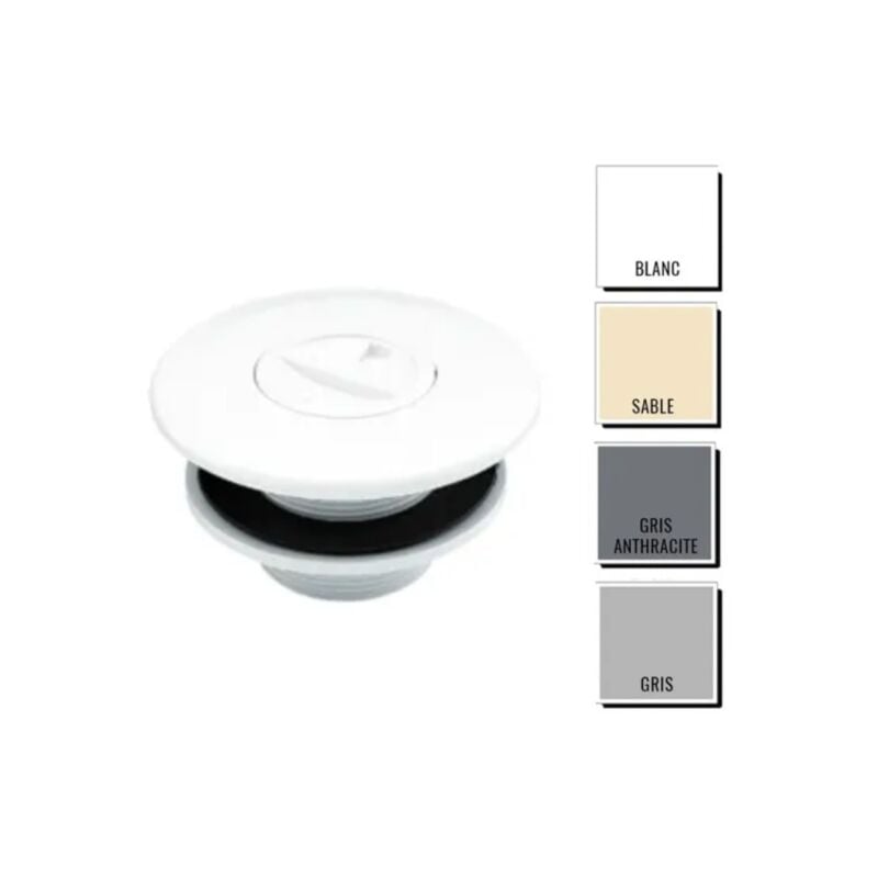 Astralpool - Prise balai Prestige avec écrou 2' - piscine coque couleur Sable