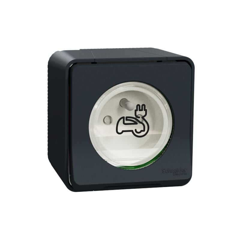 Schneider Electric - Prise de courant renforcée pour véhicule électrique mureva styl - 2P+T - 16A - saillie - gris