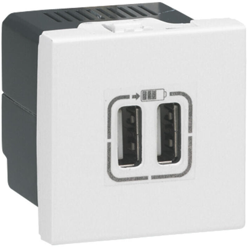 Legrand - Chargeur 2 usb mosaic type-A 2,4A 2 modules 230V blanc 077594
