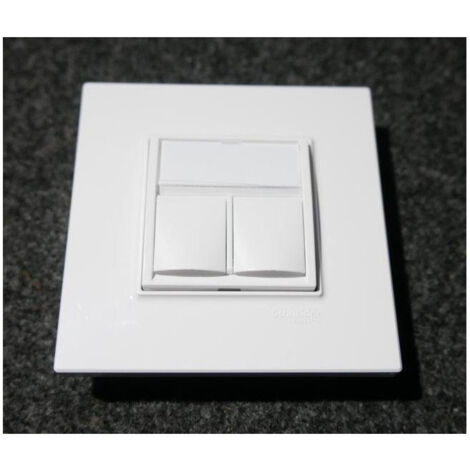 Prise double RJ45 CAT5E FTP P-E blanc polaire complet avec support et plaque S-ONE ALTIRA SCHNEIDER