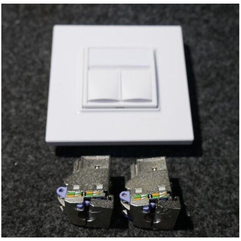 Prise double RJ45 CAT6 FTP blanc polaire P-E complet avec support et plaque S-ONE ALTIRA SCHNEIDER