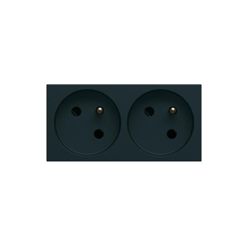 Prise de courant double speciale goulotte gallery 2P+T 16A night Hager WXF422N