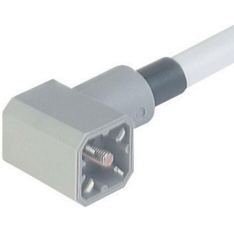 Prise mâle avec câble moulé Hirschmann G 30 KW M 931 783-001-1 gris Pôle:3 + Terre 1 pc(s)