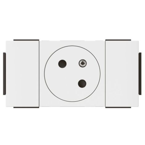prise pour goulotte clippage direct programme mosaic 2p+t 2 modules blanc