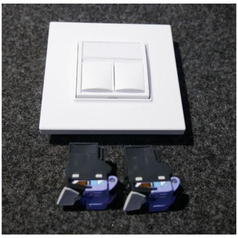 Prise réseau 2xRJ45 CAT6 UTP double blanc polaire complet avec support et plaque S-ONE ALTIRA SCHNEIDER
