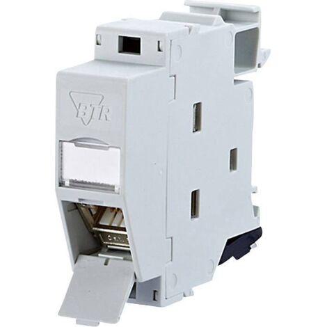 PRISE RÉSEAU BTRNETCOM ADAPTÉ POUR MONTAGE SUR RAIL DIN CAT 6A 270°