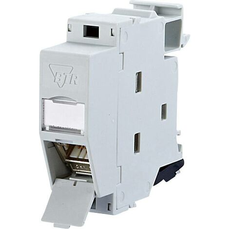 Prise réseau BTRNETCOM adapté pour montage sur rail DIN CAT 6A 270° R48597