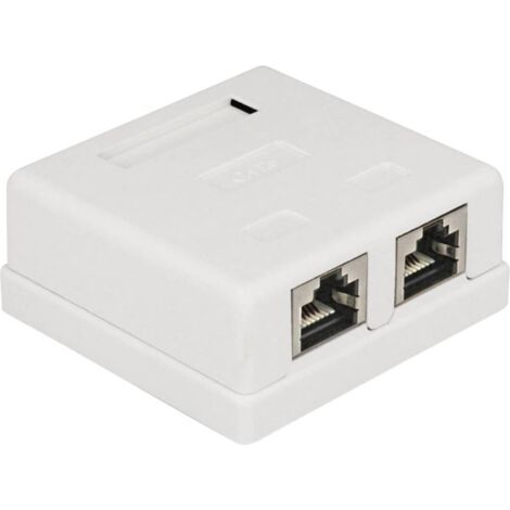 Prise réseau encastré insert avec plaque centrale et châssis CAT 6 2 ports Delock 86269 blanc