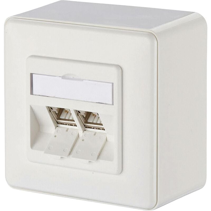 Prise réseau montage apparent (en saillie) cat 6a 2 ports Metz Connect 130B12D20002-E blanc pur R01265