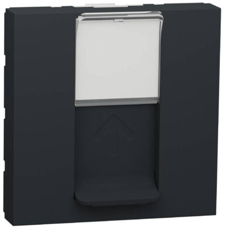 prise rj45 - 2 modules - cat6 - ftp - anthracite - schneider electric nu341954