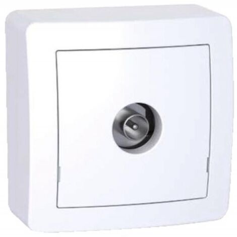 Prise RJ45 Alrea Blanc Polaire Complète