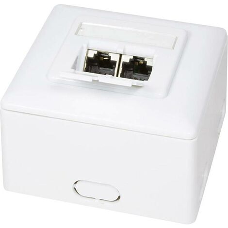 Prise RJ45 complète 2 ports – NP0039A – Montage apparent CAT 6 – Angle 40 degrés – Métal verni blanc RAL 9003 – Logilink